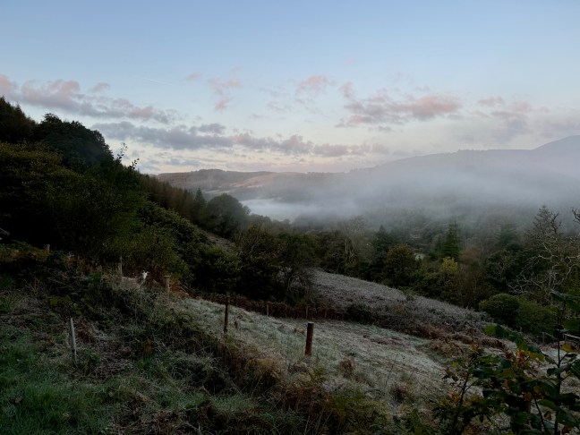 A view of hills shrouded by cloud, with a patch of early-morning sunlight, and a goat in the foreground
